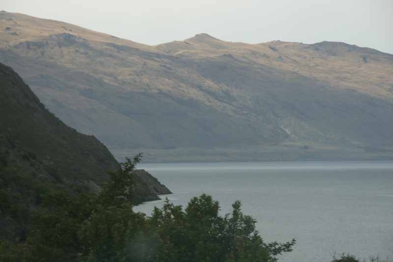 Nieuw-Zeeland 2011 - 1651